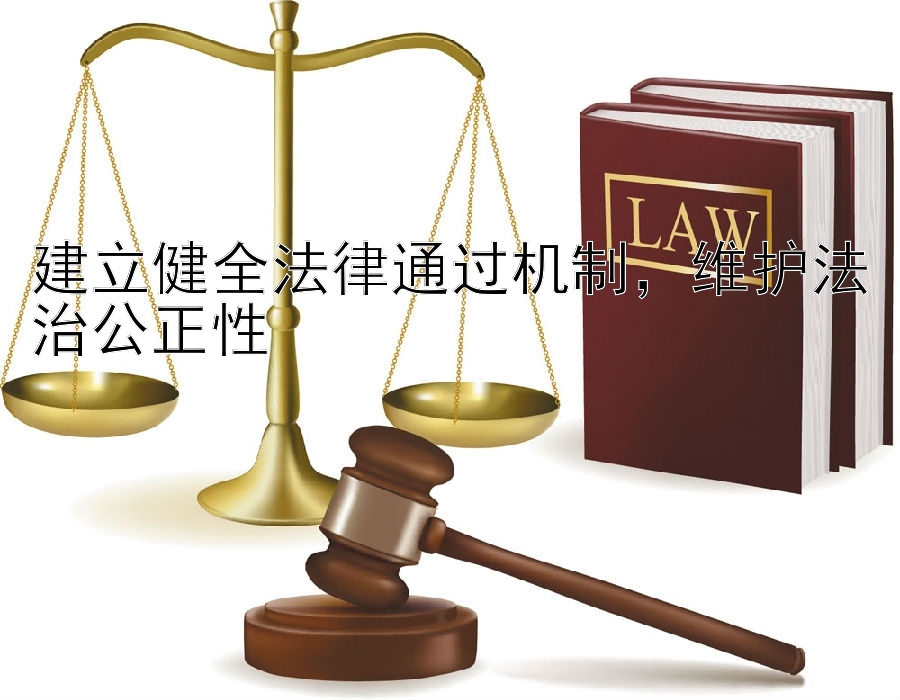 建立健全法律通过机制，维护法治公正性