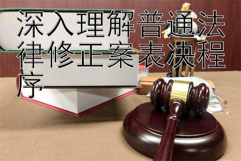 深入理解普通法律修正案表决程序