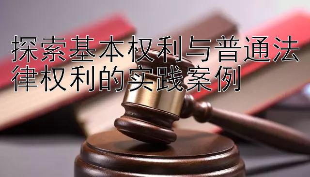 探索基本权利与普通法律权利的实践案例