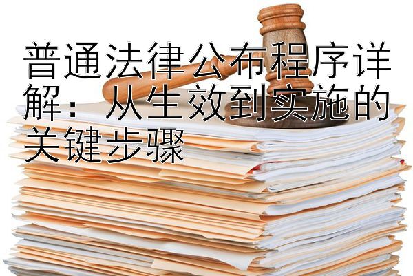 普通法律公布程序详解：从生效到实施的关键步骤