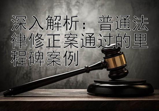 深入解析：普通法律修正案通过的里程碑案例