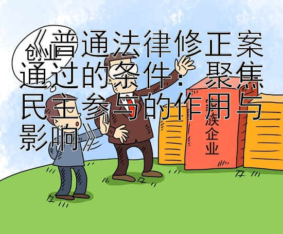 《普通法律修正案通过的条件：聚焦民主参与的作用与影响》