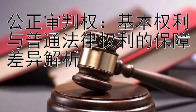 公正审判权：基本权利与普通法律权利的保障差异解析