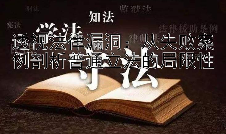 透视法律漏洞：从失败案例剖析普通立法的局限性