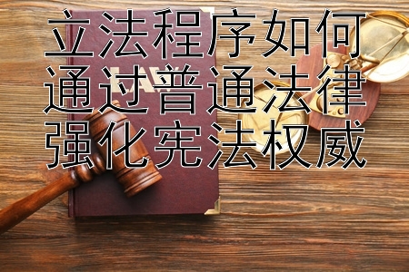 立法程序如何通过普通法律强化宪法权威