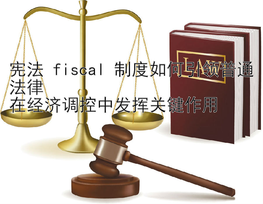 宪法 fiscal 制度如何引领普通法律  
在经济调控中发挥关键作用